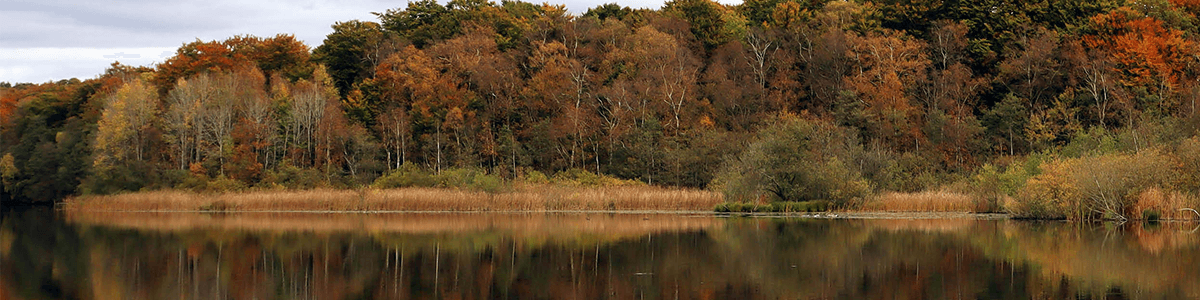 Höörs kommun banner
